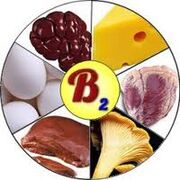 B2 b2 vitamini za možgane